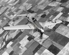 Mustang P-51 Military Fighter Aircraft WWII 8x10 Glossy Photo Print HT4136746 picture