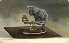 Tuck Postcard Kittendom Kitten on a Scale I am The Heaviest 1418 Gray Tabby Cat picture