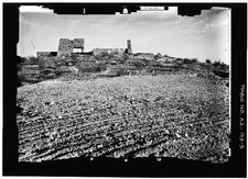 Photo:Phoenix Arizona Rose Pauson House Ruins 1930s HABS 32nd Street picture
