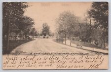 Fort Wayne Indiana IN Entrance to Swinney Park 1906 Antique Postcard picture