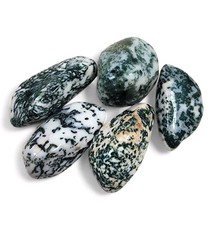 Agate Green Tree Polished Stones 96.2 grams. picture