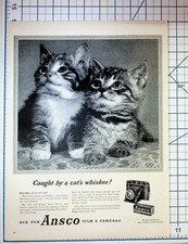 Vintage Ansco Camera Film Ad Kittens Photography Binghamton NY Magazine Page picture