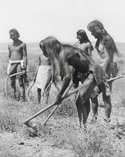 Edward S Curtis Hopi Indians Digging Out Snakes 8x10 Glossy Photo Print HT943549 picture