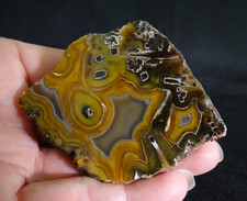 Turkish Agate Slab Collector Specimen Cubuk Turkey picture