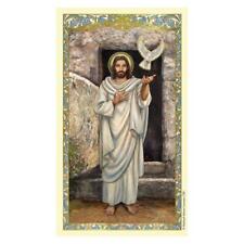 Beautiful Christ With Dove Holy Card Size 4.375 in W x 2.625 in L Pack of 25 picture