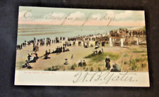 Rare Circa 1907 Postcard-Beach Scene-Ormond Beach, Fl. picture