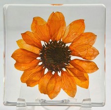 2.9