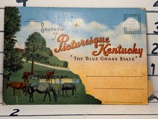 Vintage Picturesque Kentucky the Blue Grass State Souvenir front and back READ picture
