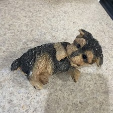 Encore Group Yorkshire Terrier Yorkie Puppy Figurine E03929 Dog Pup Resin picture
