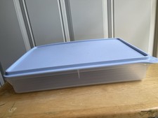 New Tupperware 9 X 13 Snack & Store picture