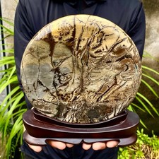 4.36LB Beautiful Natural Chinese Dendritic Limestone Picture Stone Guohua -Rare picture