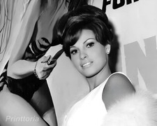RAQUEL WELCH 8x10 Collector Photograph - Classic Cinema Actress Publicity Image picture