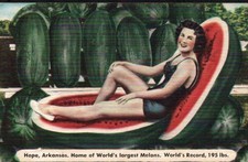 Hope Arkansas - World's Largest Watermelons - 195 Pounds picture