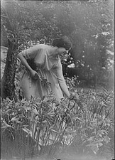 Beyer,Hilda,Miss,dancers,flowers,portrait photographs,women,nudes,A Genthe,1915 picture