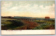Sandwich Massachusetts Plank Walk S. E. Silaby Postcard PC304 picture
