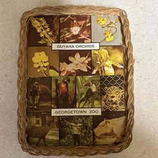 Vintage Souvenir From Guyana & Georgetown Zoo Beautiful Collection Piece Rare picture