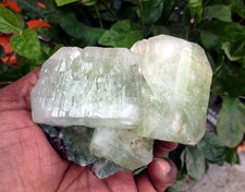 light green apophyllite crystals & matrix minerals specimen o-10 picture
