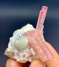 274 CT Rubelite Tourmaline Crystals Bunch With Light Green Bavenite From Chakpu picture