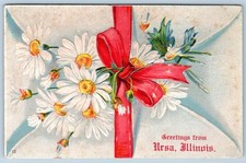 1908 GREETINGS from URSA ILLINOIS EMBOSSED ANTIQUE POSTCARD picture