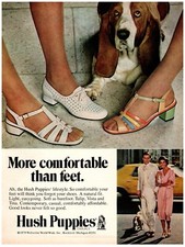 1979 Hush Puppies Print Ad Cute Basset Hound Dog More Comfortable Than Feet City picture