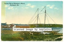 Bucksport, Maine - Drying Fish at Nicholsons Wharf - ca.1910 picture