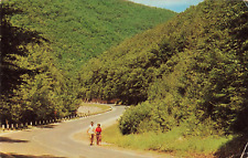 Massachusetts MA, Berkshire Hills, Mohawk Trail Curve of Beauty Vintage Postcard picture