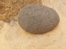 Scarce- 100% REAL DINOSAUR HADROSAUR Fossilized EGG- Millions Years Fossil picture