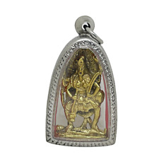 Maha Kali Goddess Destroy Evil Forces Hindu Murti Amulet Pendant Stainless Case picture