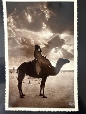 Vintage RPPC Biskra Algeria Camel Rider Twilight Sahara CIM Combier France picture