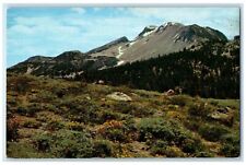 c1950's Mammoth Mountain Look Out Point Minaret Road Ski Slopes View CA Postcard picture