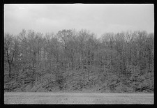 Photo:Morgan County Indiana 1935 Resettlement Area Woodland Hills picture