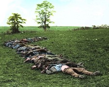 CONFEDERATE DEAD AT ANTIETAM T Civil War PHOTO  (163-B) picture
