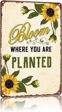 Vintage Sunflower Bloom Where You Are Tin Metal Signs Home Décor 8x12 picture