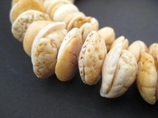 Antique Mauritanian Conus Shell Beads Graduated 15mm African Brown Unusual picture