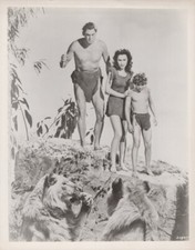 Tarzan's Secret Treasure vintage 8x10 inch photo on fiber paper Weissmuller lion picture