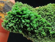 116.7g green pyromorphite crystals minerals specimens from China picture