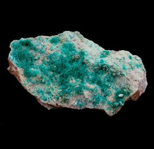 Bright Green Dioptase Crystals on White Matrix - Christmas Mine, Arizona picture