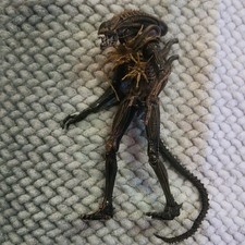 NECA Aliens Xenomorph Warrior Battle Damaged 30th Anniversary Action Figure picture