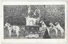 1910 Performing Fox Terrier Dogs, Donkey & Trainer - Vintage Postcard picture
