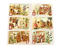 Great German Victorian Trade Cards 