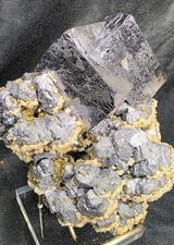 Large Galena Crystal with Calcite, Dolomite & Chalcopyrite — Sweetwater Mine, MO picture