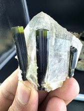 340 CTs Natural Beautiful Green Cape Tourmaline Crystal With Quartz Specimen picture