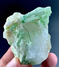 615 CTs Natural Green Tourmaline Crystal specimen from Afghanistan picture