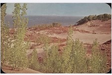 Warren Dunes State Park, Michigan Postcard picture
