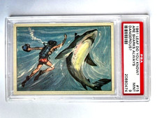 1961 Leaf Do You Know? #15 ARE SHARKS ALWAYS DANGEROUS? PSA 9 POP 4 NONE HIGHER picture