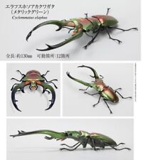 Bandai Gashapon Figure Encyclopedia of Living Creatures Kuwagata07 Complete Set picture