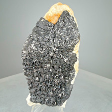 Superb Large Ferberite Xl. Plate: Chance mine, Nederland, Boulder Co., Colorado picture