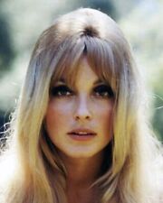 Sharon Tate beautiful iconic 1960's portrait 24x36 inch poster picture