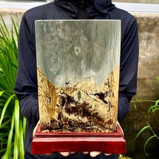 5.35LB Beautiful Natural Chinese Dendritic Limestone Picture Stone Guohua-Rare picture