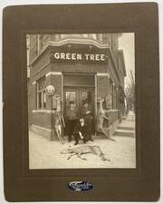 Green Tree Tavern Mt. Clemens Michigan Pabst & Biewers Beer Signs Photo picture